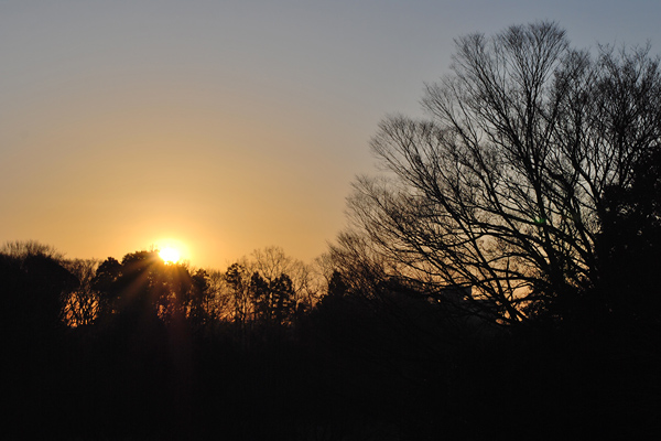 キートスの初日の出