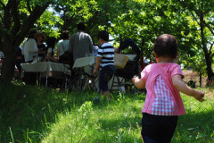 庭の風景と子ども