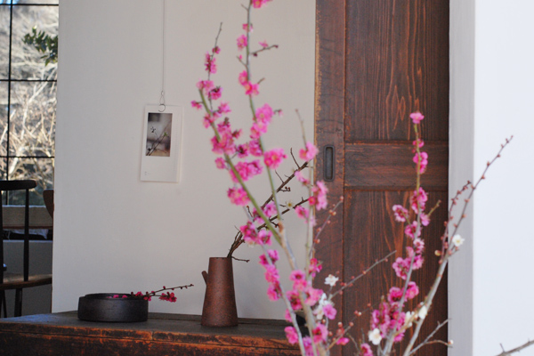 桃の花と梅の花