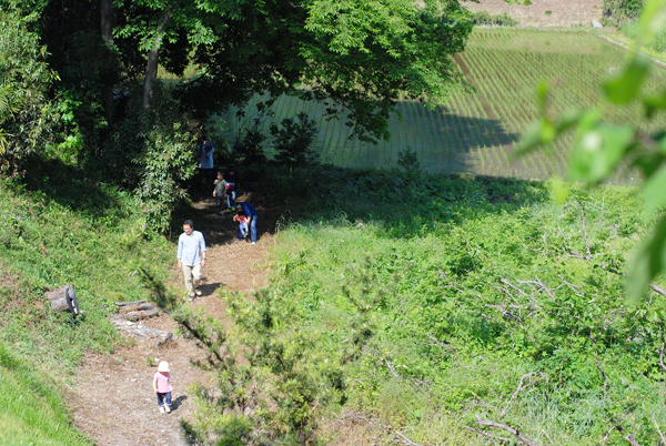 キートス庭風景