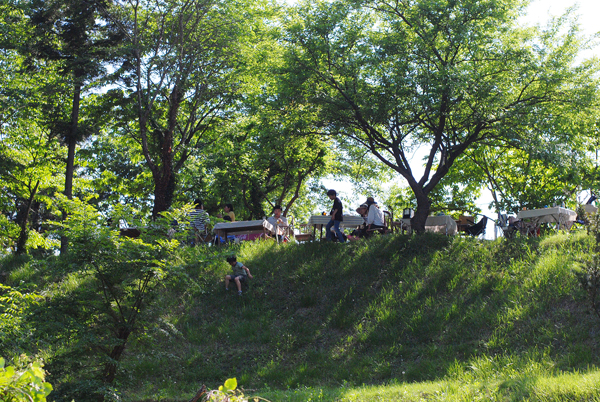 kiitosの庭の風景