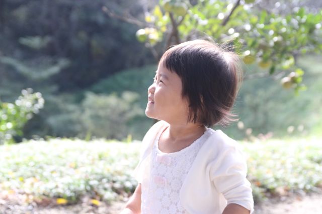 ギャラリーキートス七五三撮影