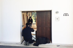 キートスキャットツリー撮影風景