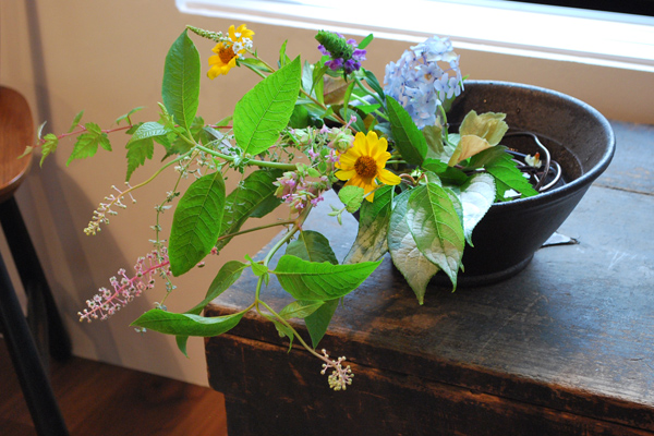 キートス野田初夏の花の会