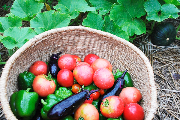 キートス守谷ギャラリー