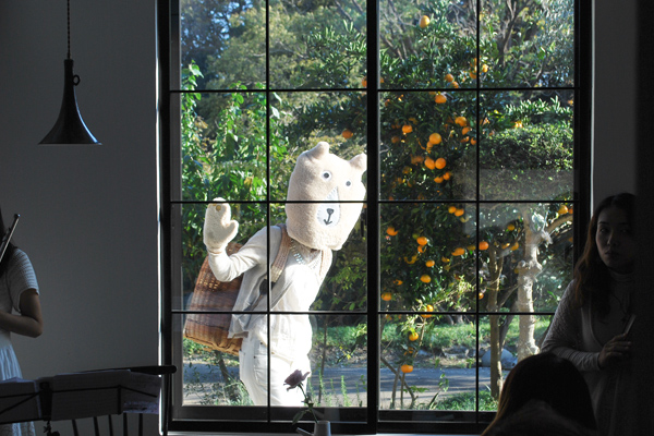 妖精のベンジャミン