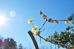 tunaguさん花の会、キートスにて