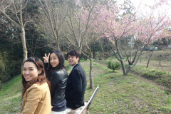 ギャラリーキートス庭の花