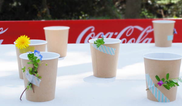紙コップと草花